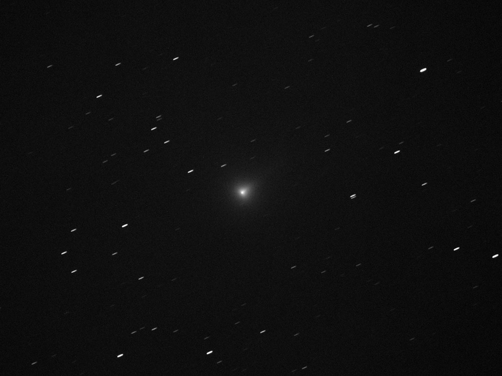 Comet C/2020 F8 with a green coma and a field of trailed stars
