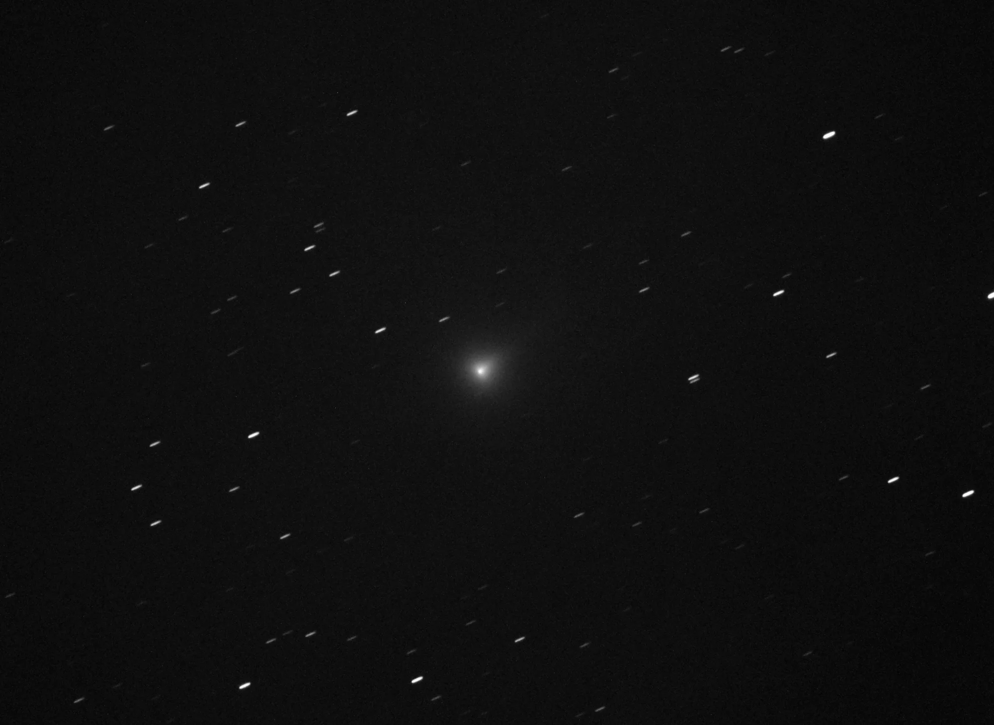 Comet C/2020 F8 with a green coma and a field of trailed stars